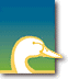Ducks Unlimited
